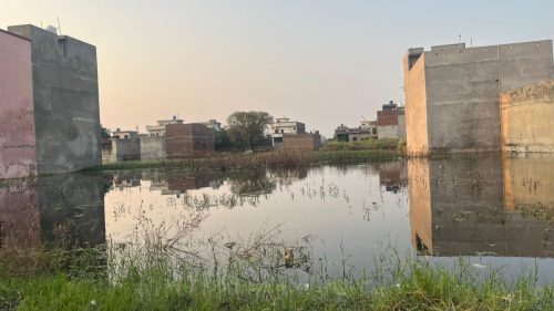 WhatsApp-Image-2025-09-12-at-7.00.18-PM